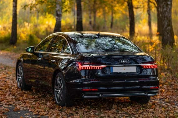 Exotic cars and their well-experienced drivers