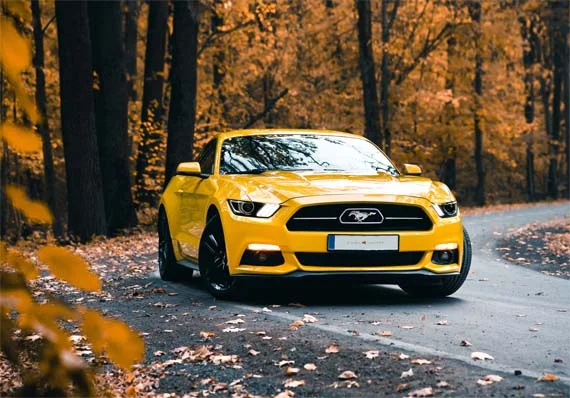 Why do we mainly focus on providing luxury?