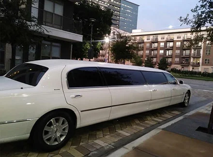 Are you planning to head off for a night on the town in Istanbul and are in need of a limousine service to pick you up and drive you through the city in the evening?